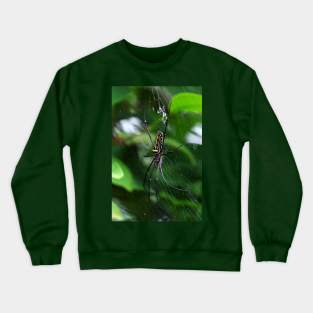 Orb Weaver Crewneck Sweatshirt